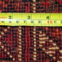 10368-Back.jpg