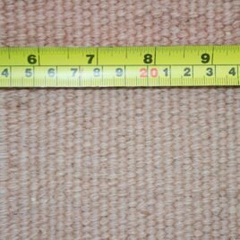 10543-Back.jpg