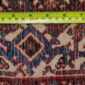 11529-Back.jpg