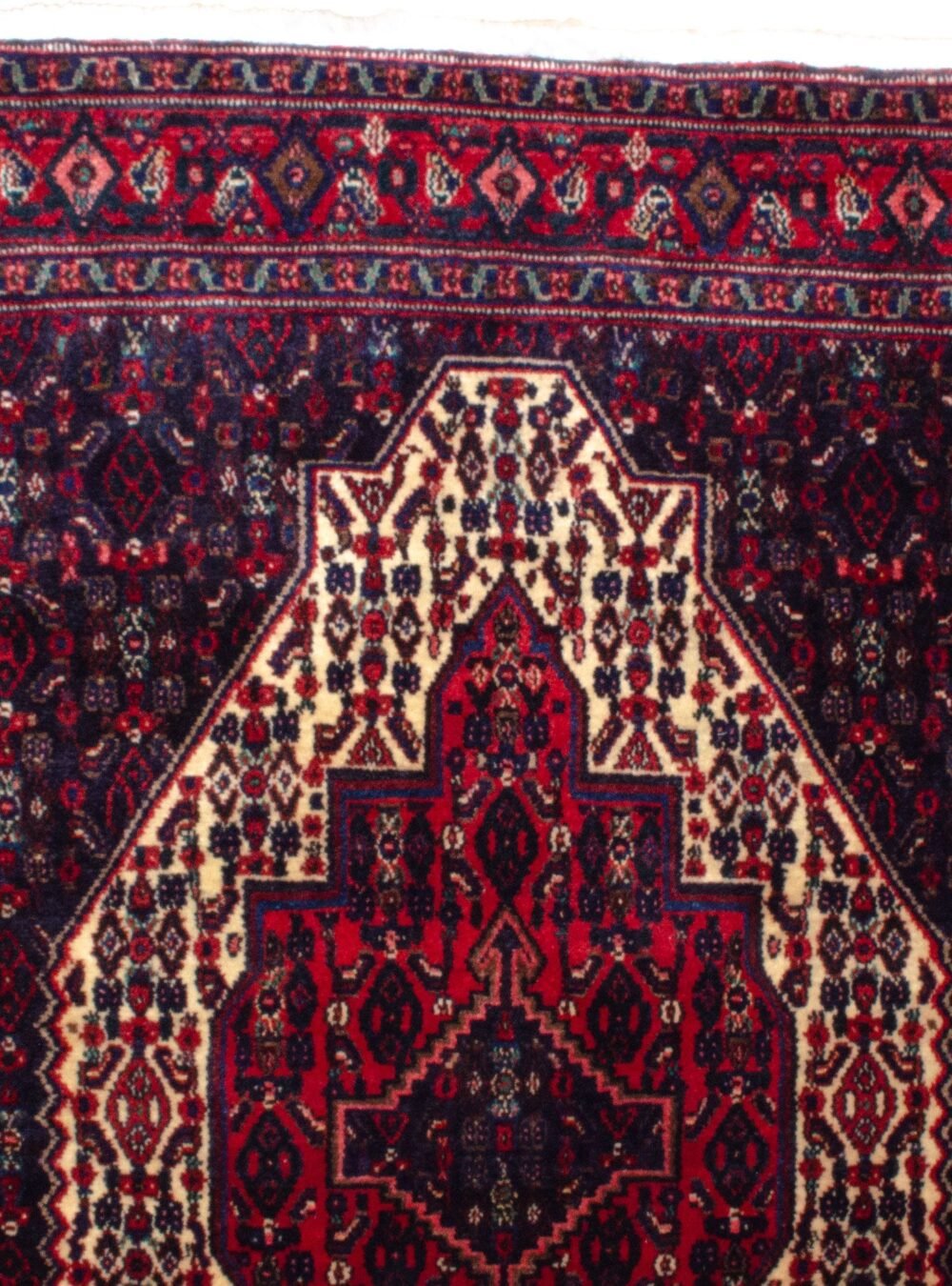 11770-Close-Up.jpg 11770-Close-Up.jpg