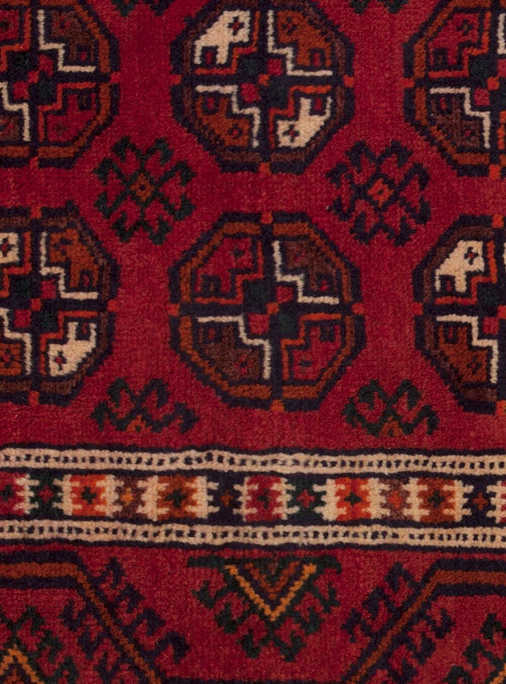 11988-Close-Up.jpg 11988-Close-Up.jpg