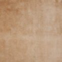 13174-Close-Up.jpg