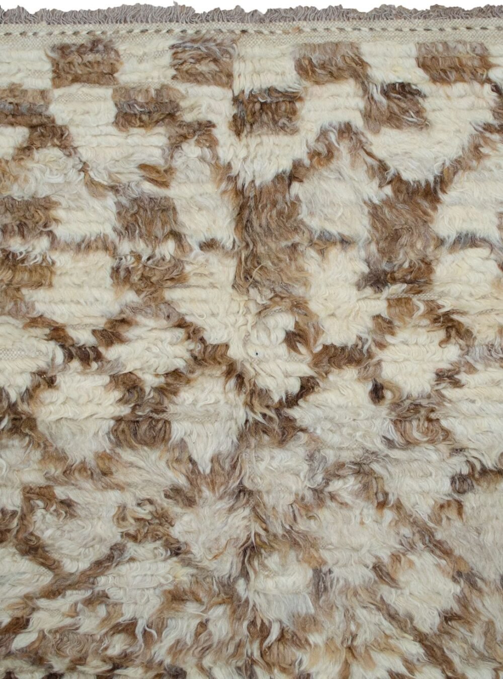 13275-Close-Up.jpg 13275-Close-Up.jpg