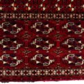 13377-Close-Up.jpg