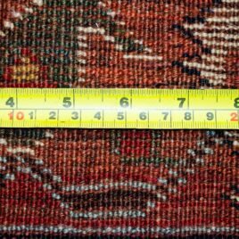 13449-Back.jpg