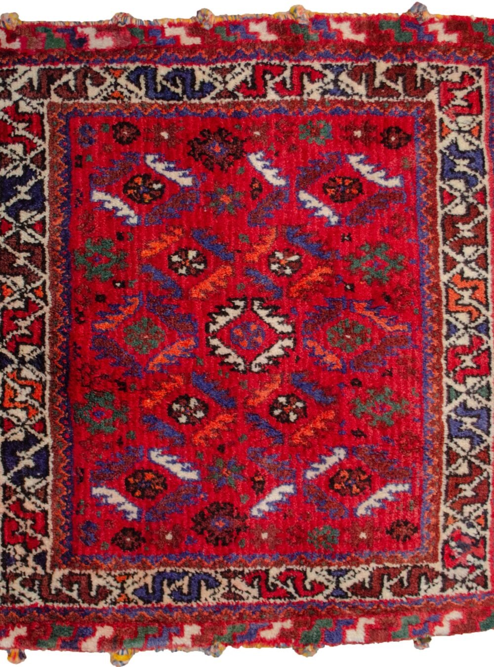 13456-Shiraz-66x70cm.jpg 13456-Shiraz-66x70cm.jpg
