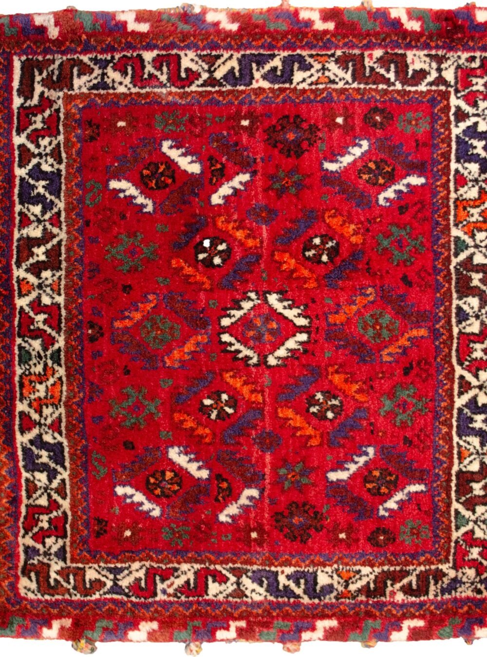 13458-Shiraz-66x70cm.jpg 13458-Shiraz-66x70cm.jpg