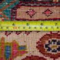 13459-Back.jpg