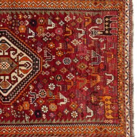 13496-Close-up.jpg