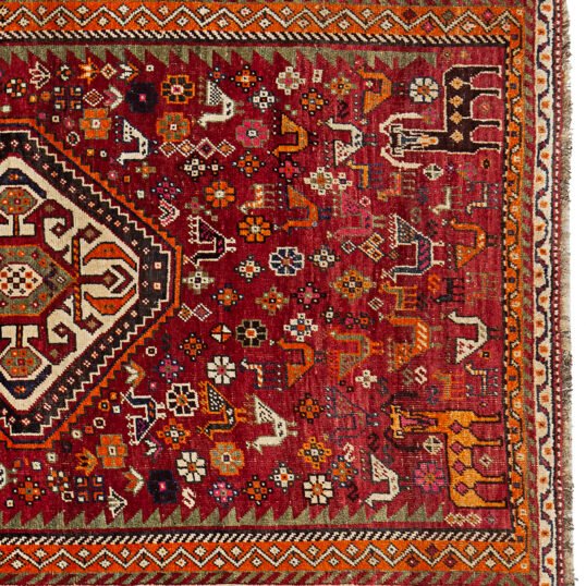 13496-Close-up.jpg
