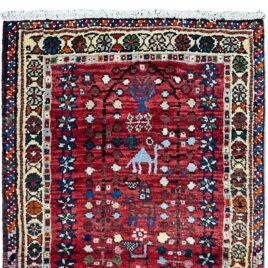 13523-Shiraz-147x70cm-1a.jpg