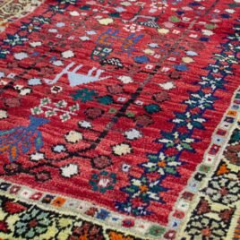 13523-Shiraz-147x70cm-2.jpg