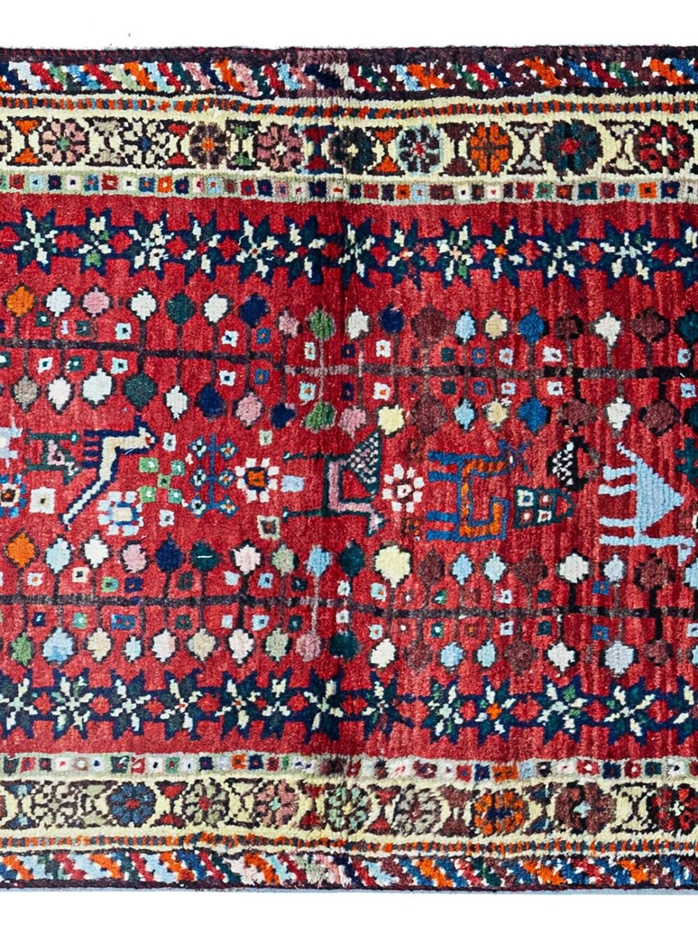 13523-Shiraz-147x70cmr-1.jpg 13523-Shiraz-147x70cmr-1.jpg