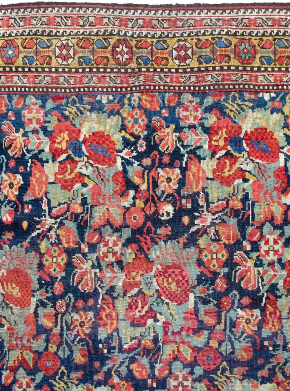 13551-Close-Up.jpg 13551-Close-Up.jpg