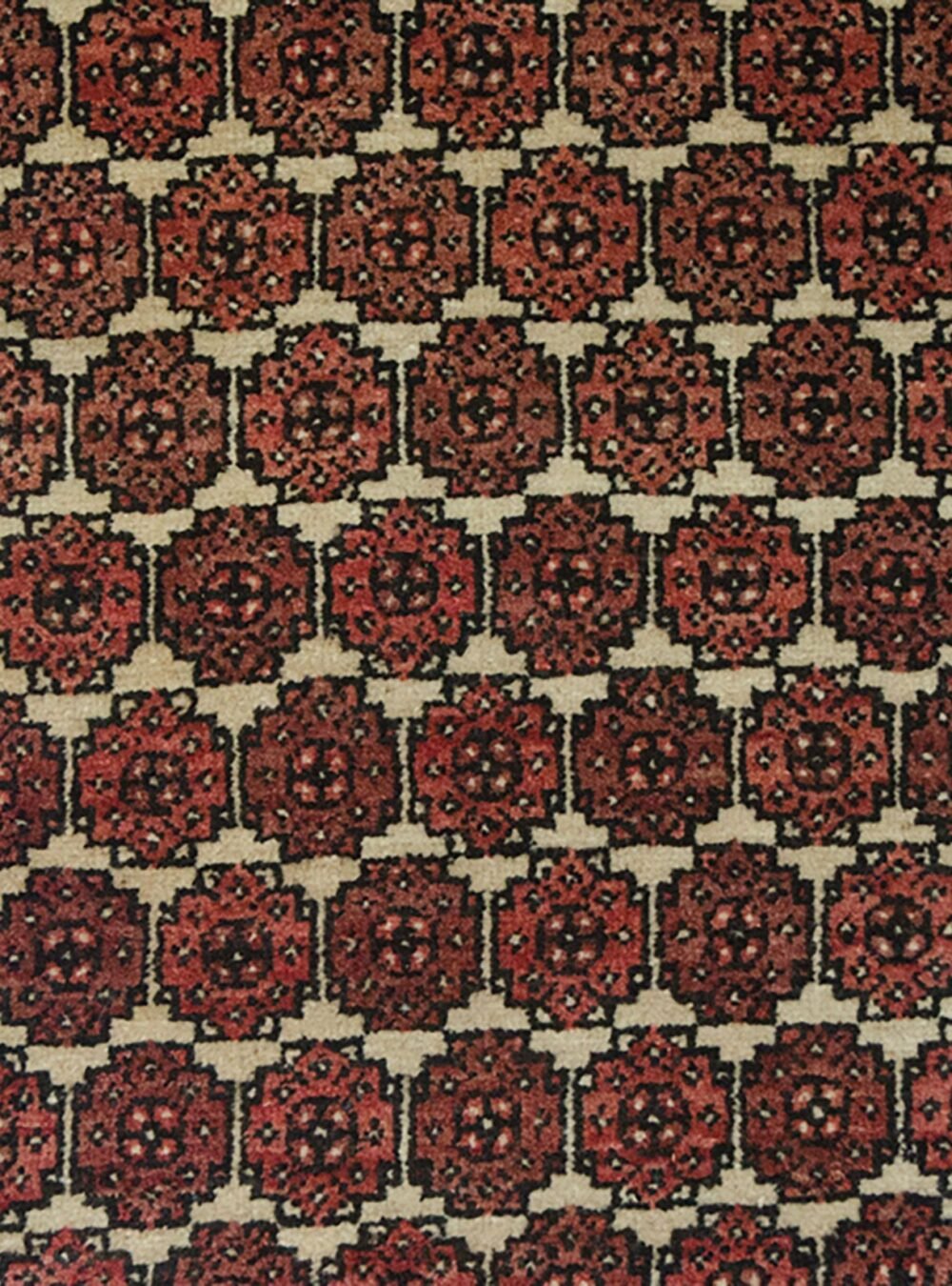 8842-Close-Up.jpg 8842-Close-Up.jpg