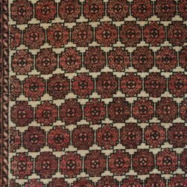 8842-Close-Up.jpg