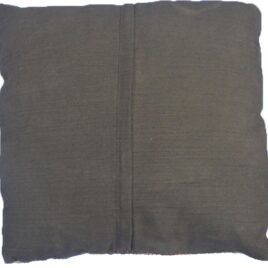C1-Back.jpg