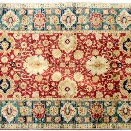 DOR1-Agra-540x251cmr.jpg