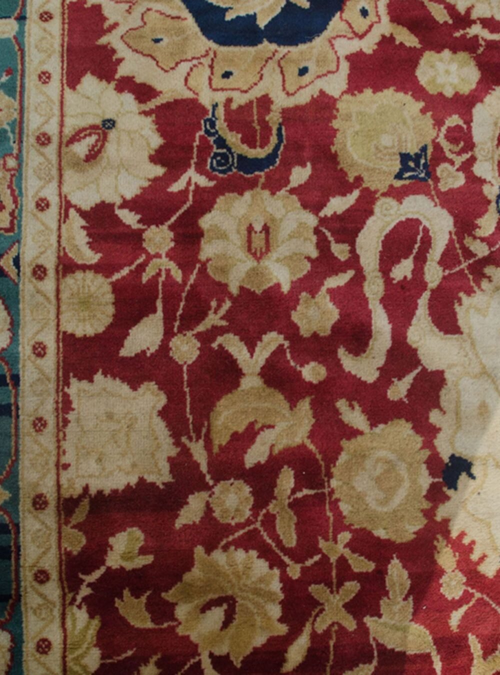 DOR1-Close-Up.jpg DOR1-Close-Up.jpg
