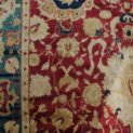 DOR1-Close-Up.jpg