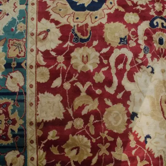 DOR1-Close-Up.jpg