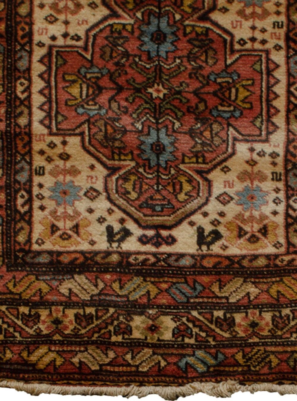 Dropbox_Mehdi-11506-Close-Up.jpg Dropbox_Mehdi-11506-Close-Up.jpg