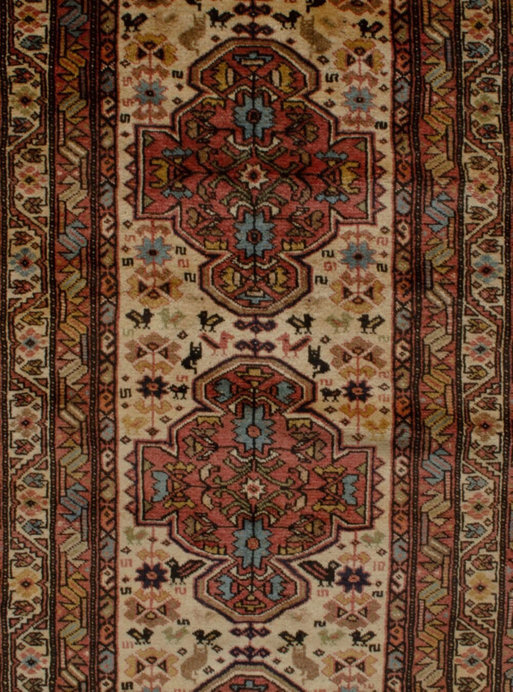 Dropbox_Mehdi-11506-Close-Up1-scaled-1.jpg Dropbox_Mehdi-11506-Close-Up1-scaled-1.jpg