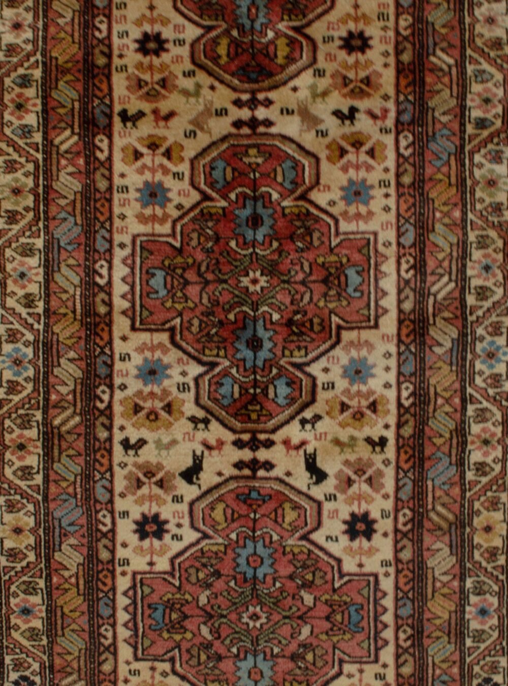 Dropbox_Mehdi-11506-Close-Up2-scaled-1.jpg Dropbox_Mehdi-11506-Close-Up2-scaled-1.jpg