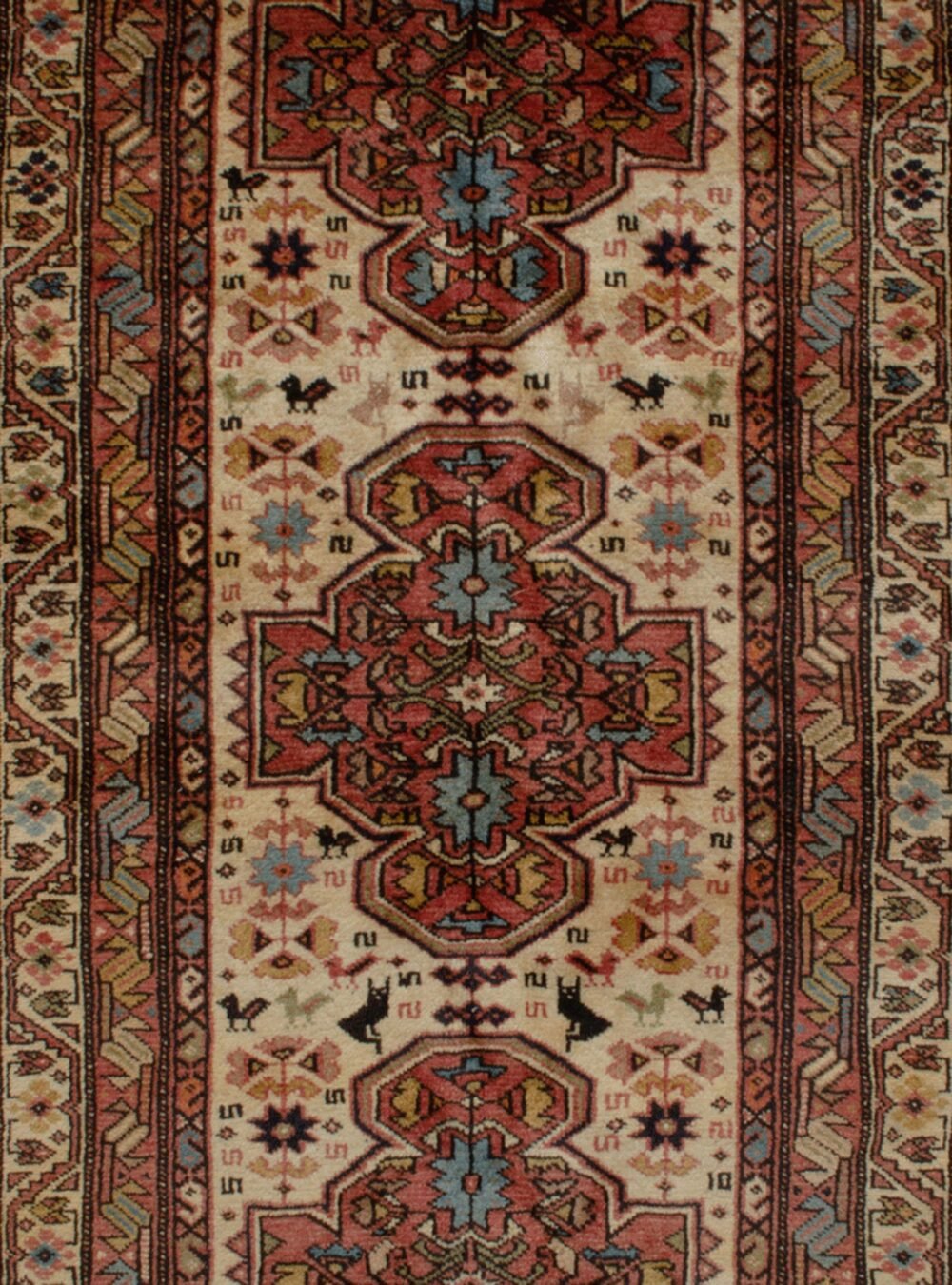 Dropbox_Mehdi-11506-Close-Up3-scaled-1.jpg Dropbox_Mehdi-11506-Close-Up3-scaled-1.jpg