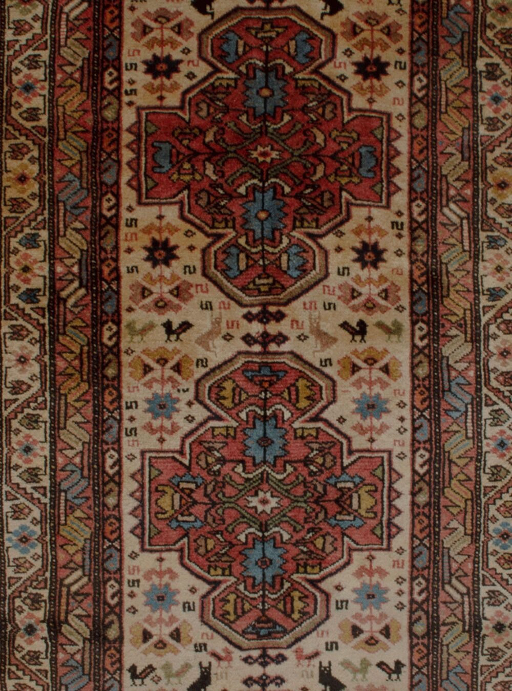 Dropbox_Mehdi-11506-Close-Up4.jpg Dropbox_Mehdi-11506-Close-Up4.jpg