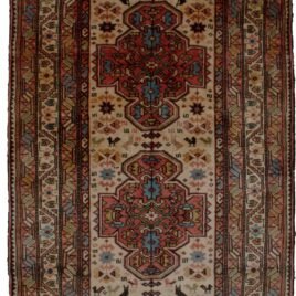 Dropbox_Mehdi-11506-Close-Up4.jpg