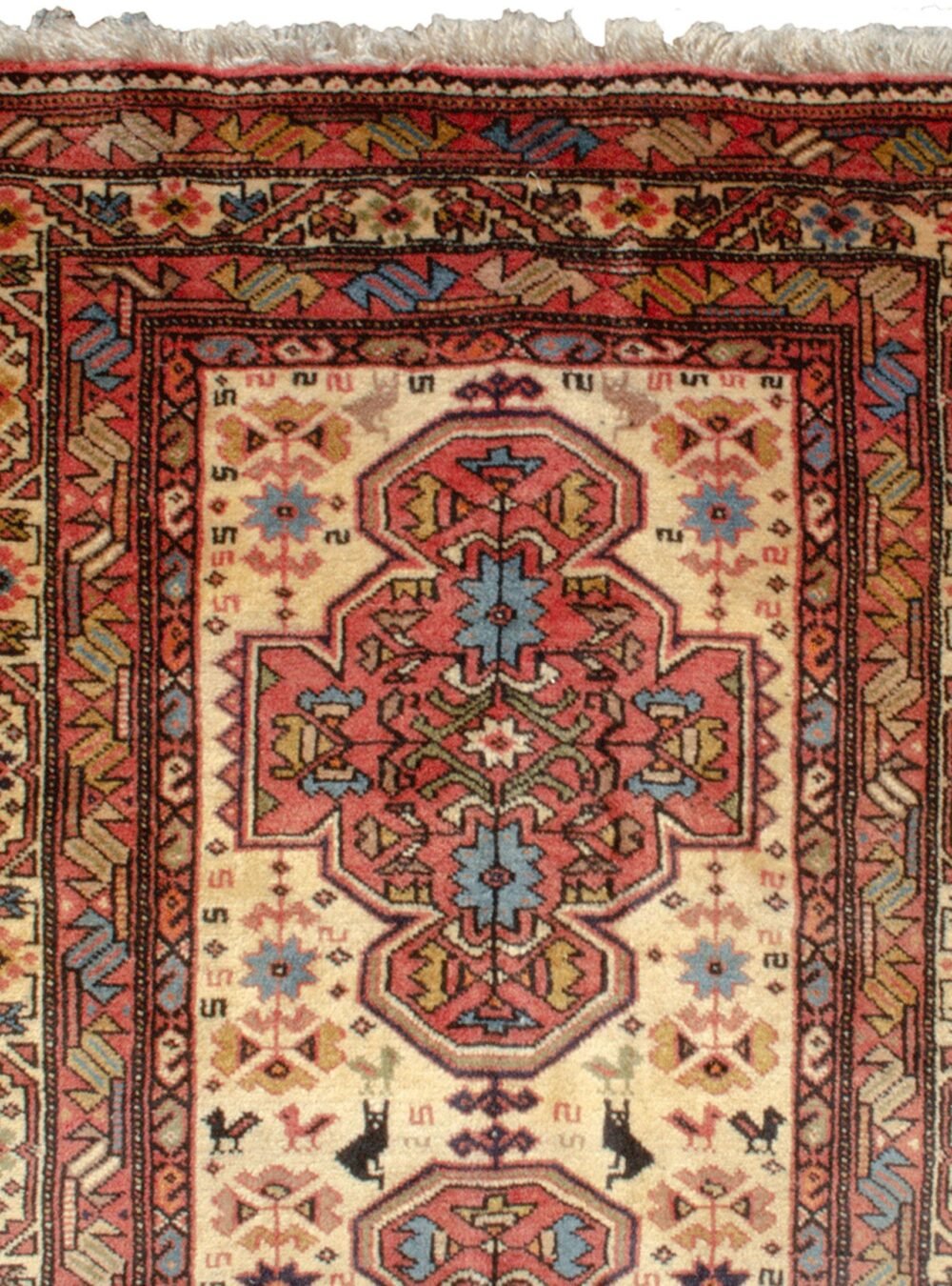 Dropbox_Mehdi-11506-Close-Up5.jpg Dropbox_Mehdi-11506-Close-Up5.jpg