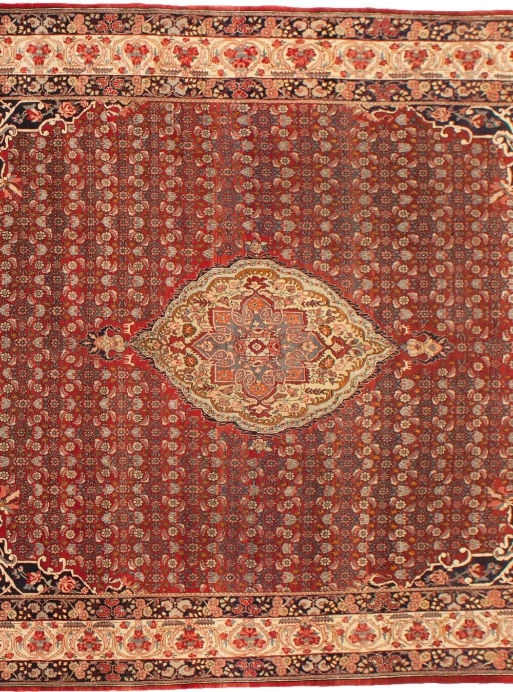 Dropbox_Mehdi-11512-Bijar-460x335cmr.jpg Dropbox_Mehdi-11512-Bijar-460x335cmr.jpg