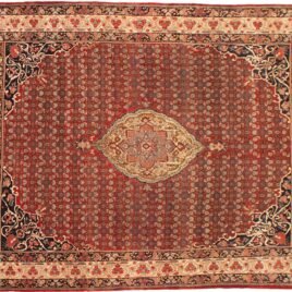 Dropbox_Mehdi-11512-Bijar-460x335cmr.jpg