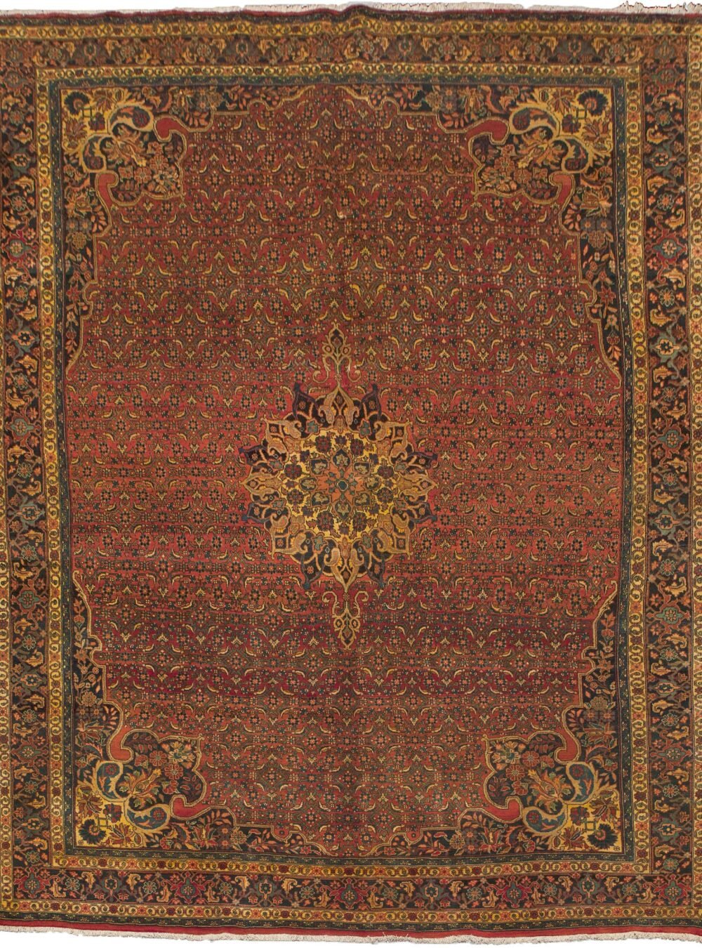 Dropbox_Mehdi-11514-Bijar-352x255cmx2500.jpg