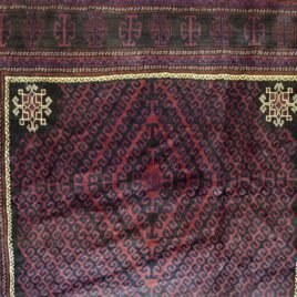 Dropbox_Mehdi-12750-Close-Up2.jpg