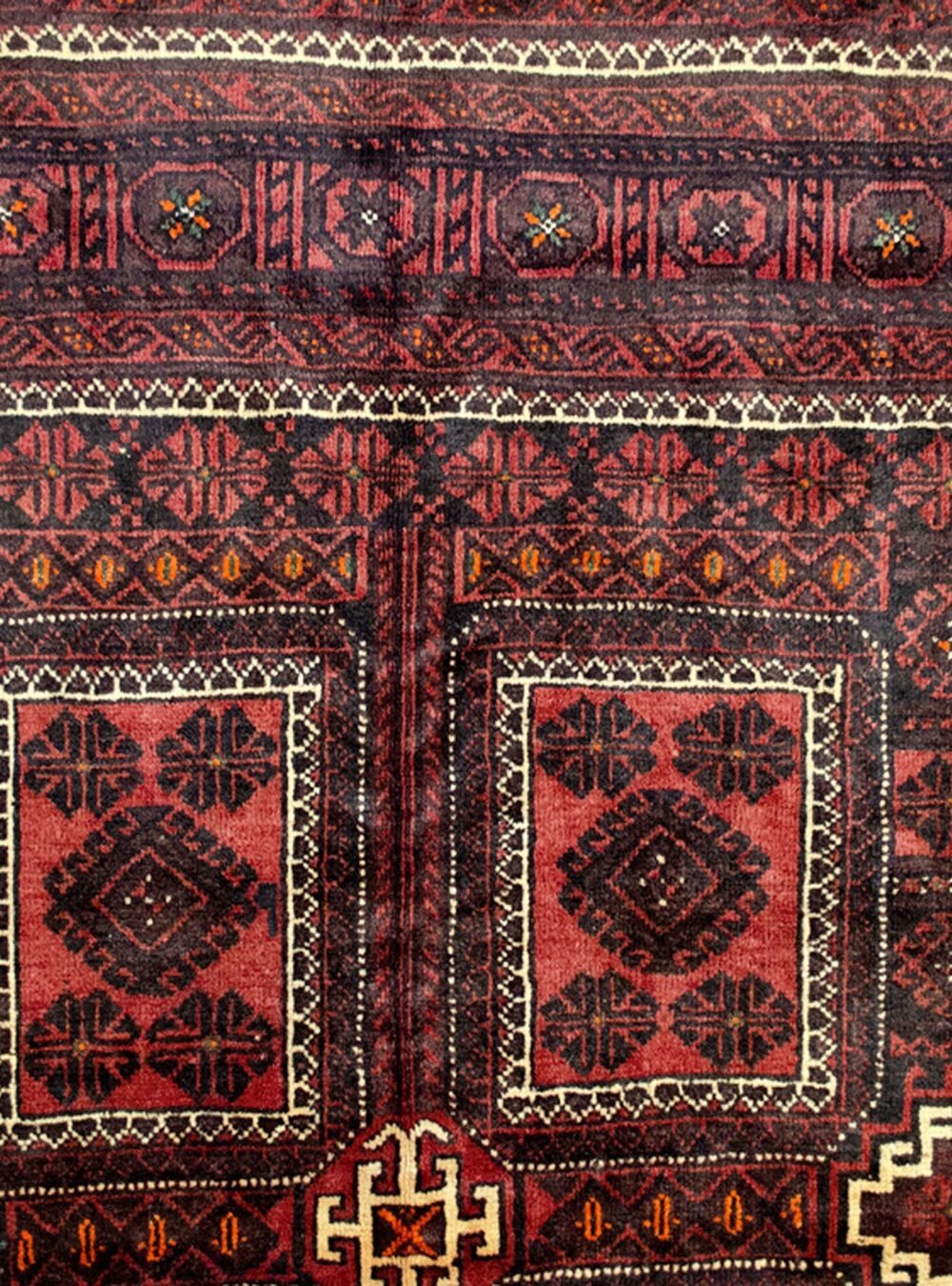 Dropbox_Mehdi-12790-Close-Up2.jpg Dropbox_Mehdi-12790-Close-Up2.jpg