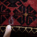 Dropbox_Mehdi-12790-Moth-Damage.jpg