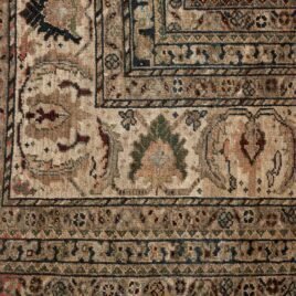 Dropbox_Mehdi-13132-Close-Up.jpg