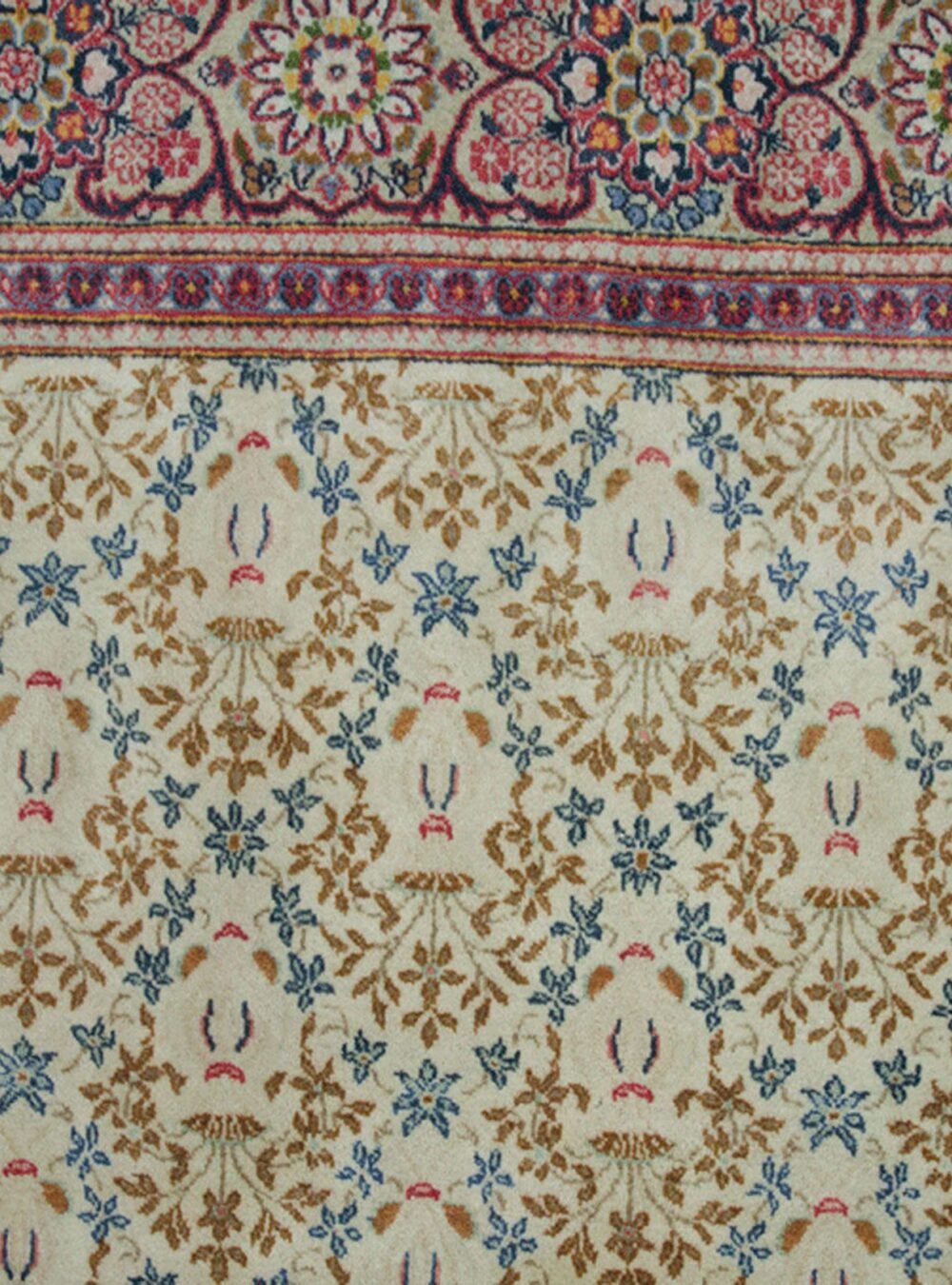 Dropbox_Mehdi-13230-Close-Up.jpg Dropbox_Mehdi-13230-Close-Up.jpg