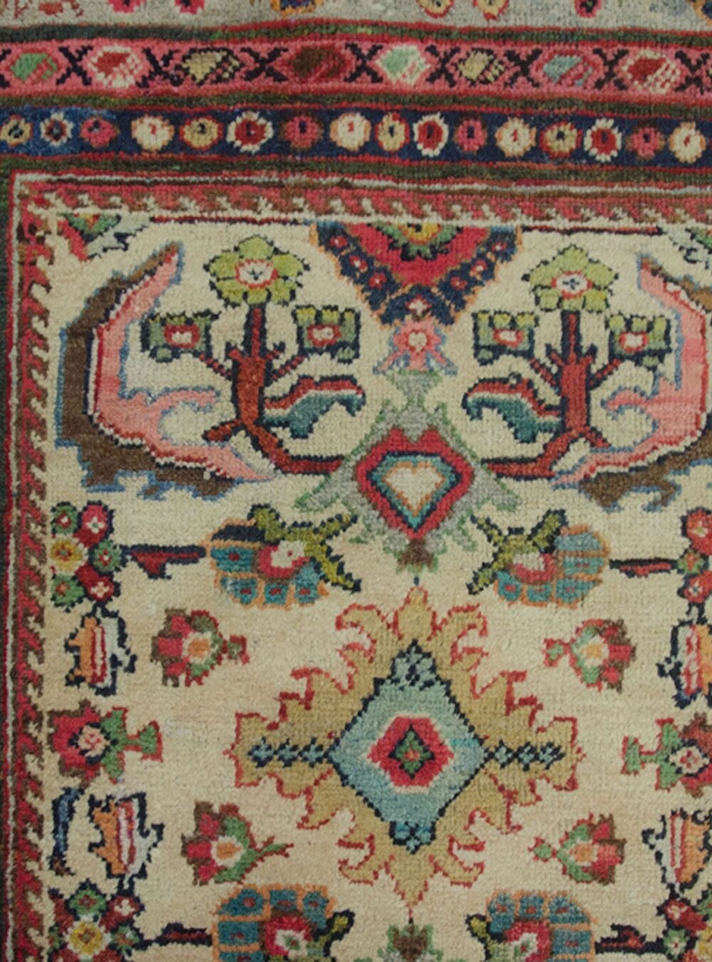 Dropbox_Mehdi-13233-Close-Up.jpg Dropbox_Mehdi-13233-Close-Up.jpg