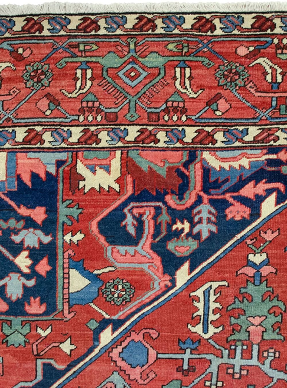 Dropbox_Mehdi-13385-Close-Up1.jpg Dropbox_Mehdi-13385-Close-Up1.jpg