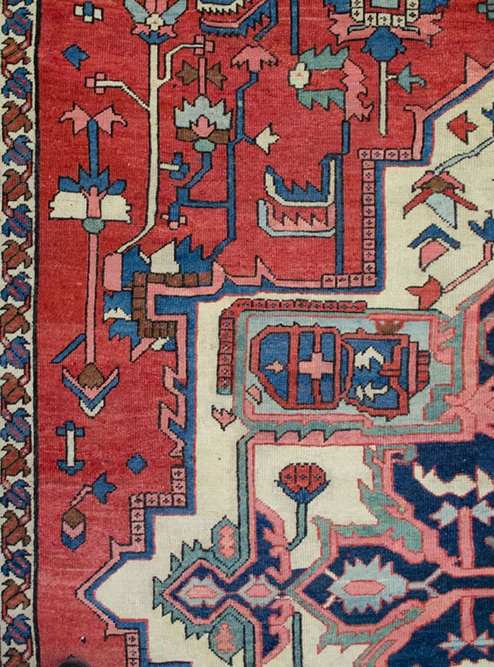 Dropbox_Mehdi-13385-Close-Up2.jpg Dropbox_Mehdi-13385-Close-Up2.jpg