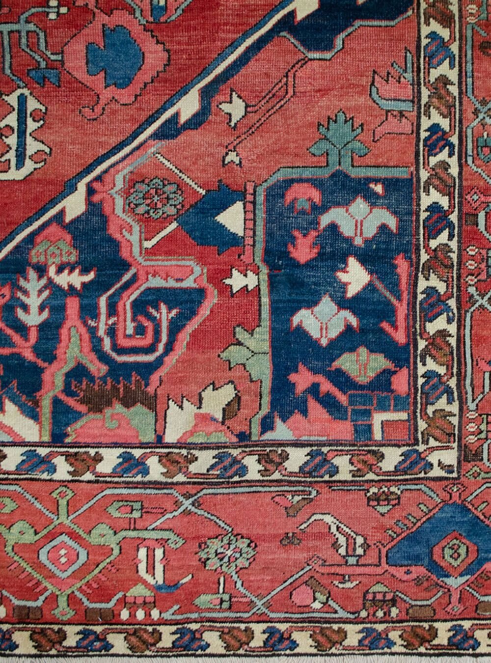 Dropbox_Mehdi-13385-Close-Up6.jpg Dropbox_Mehdi-13385-Close-Up6.jpg