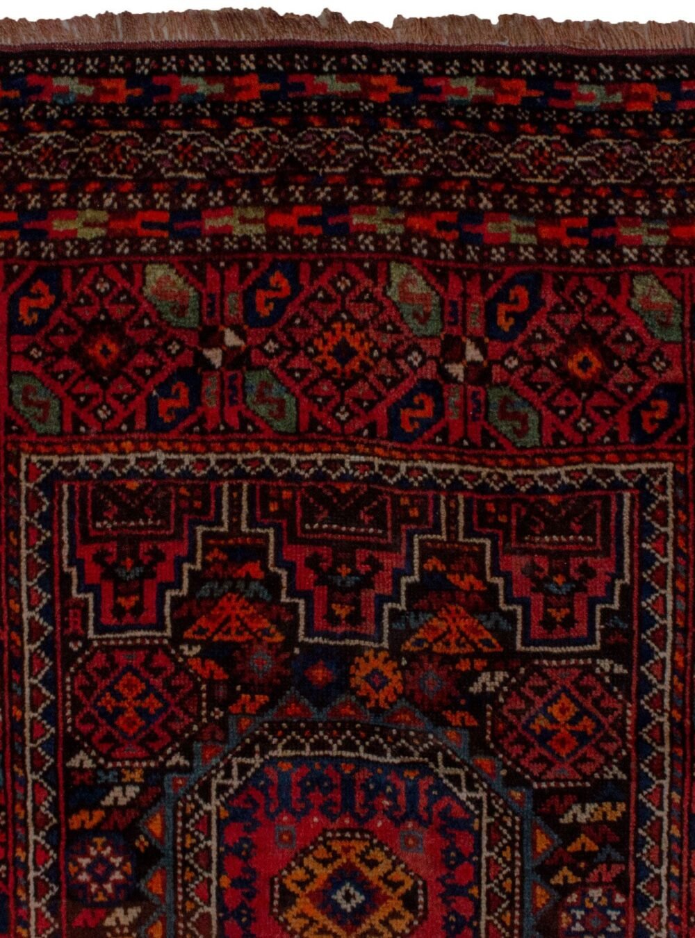 Dropbox_Mehdi-13420-Close-Up.jpg Dropbox_Mehdi-13420-Close-Up.jpg