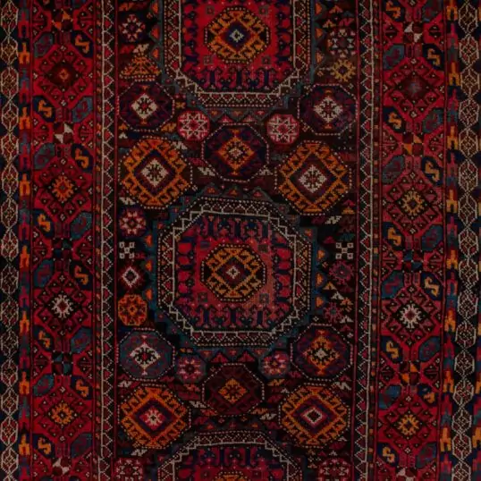 Dropbox_Mehdi-13420-Close-Up1.jpg