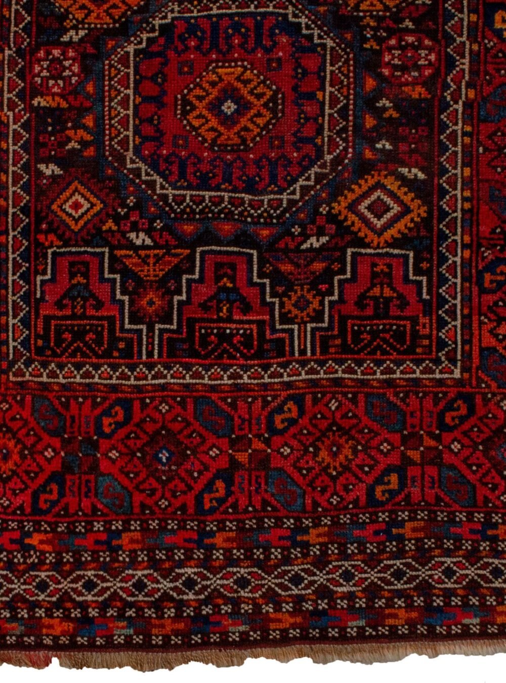 Dropbox_Mehdi-13420-Close-Up2.jpg Dropbox_Mehdi-13420-Close-Up2.jpg