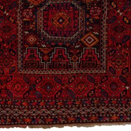 Dropbox_Mehdi-13420-Close-Up2.jpg