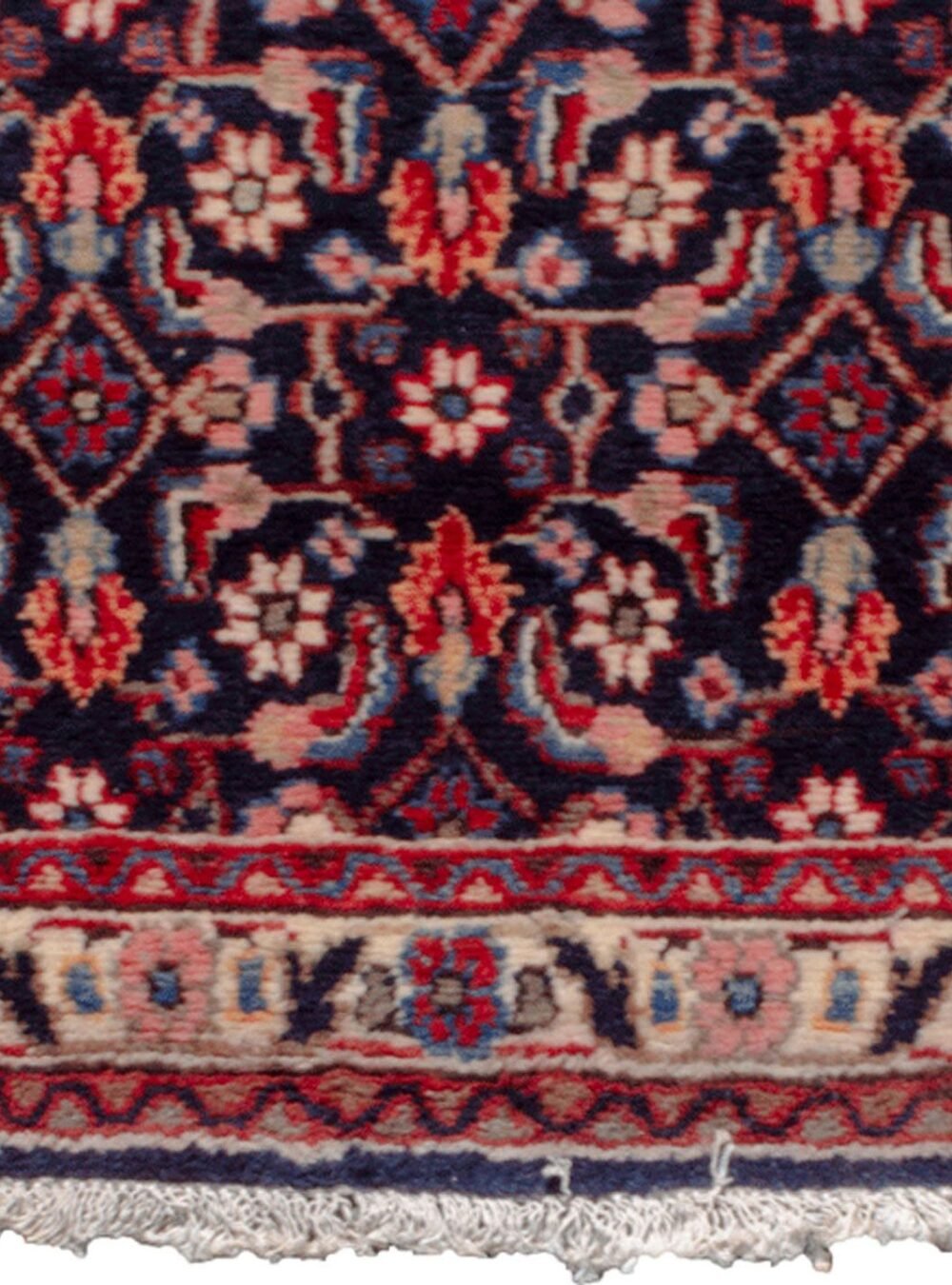 Dropbox_Mehdi-8544-Close-Up.jpg Dropbox_Mehdi-8544-Close-Up.jpg