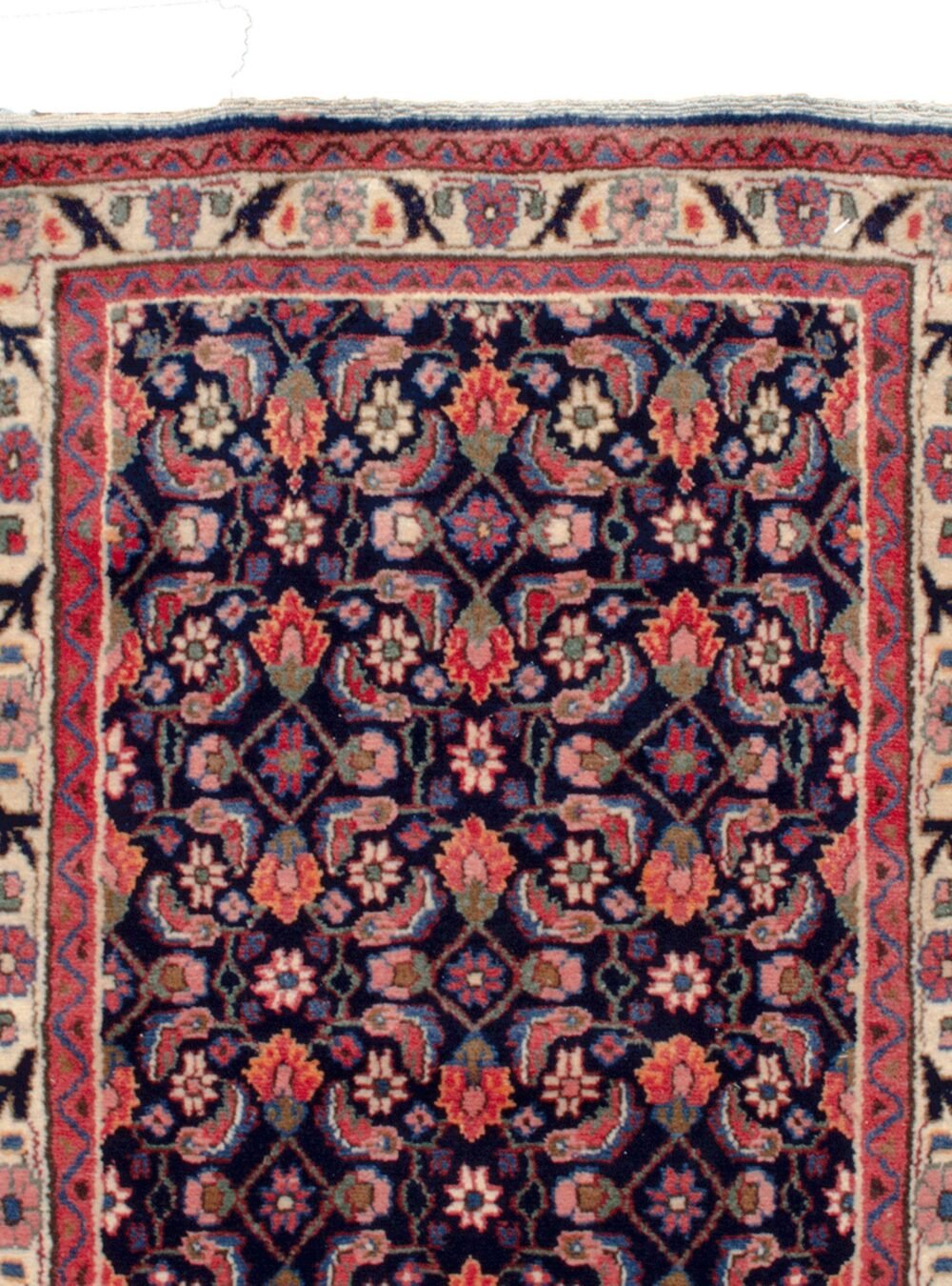 Dropbox_Mehdi-8544-Close-Up2-scaled-1.jpg Dropbox_Mehdi-8544-Close-Up2-scaled-1.jpg